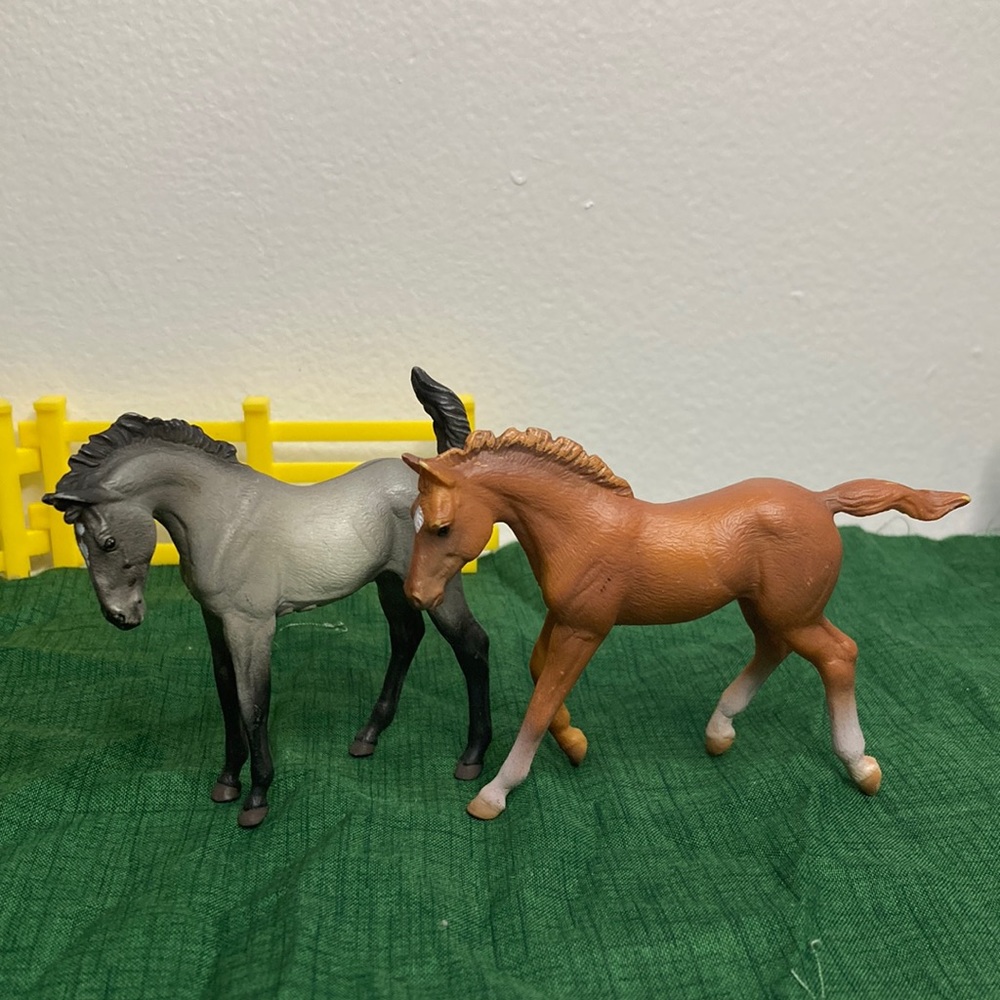 2 Foals